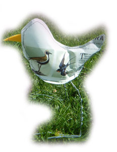 Bird